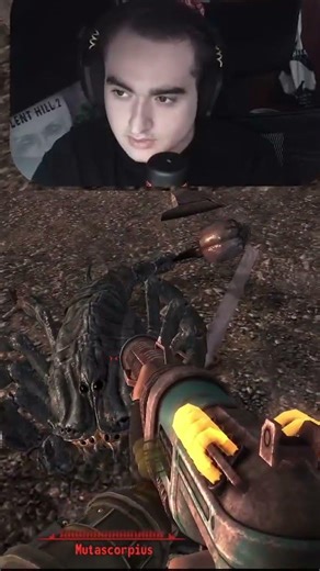 Observando a los escorpiones dormir en Fallout #shorts #fallout