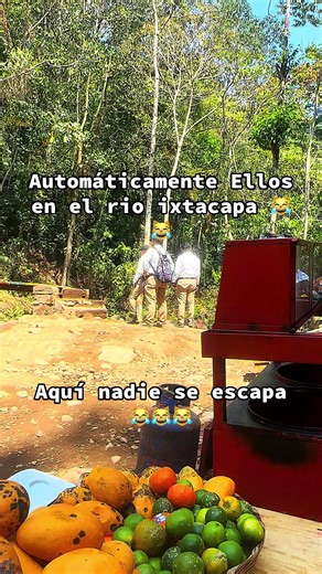 Videos de Eulalia🐼 (@eulalia10t) con “sonido original - EL MUÑOZ”