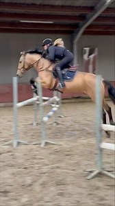 50 reactions | Nog eens gesprongen, onze piste is net te klein om echt fatsoenlijke parcours te kunnen zetten dus het was een technische training! Kort draaien en onder controle houden  Sinds hij dat springen kent is hij echt wel een stukje heter 﫢 Thanks @loranne.hermans om te helpen en te filmen! | RVhorses - Yeguada Atrapasueños | Facebook