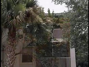 Forensic Files Season 7 Episode 29 Part02 : A Bag of Evidence #forensicfiles | Forensic Files - Global Online