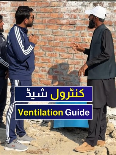 🌿 پولٹری فارم میں درست Ventilation کی اہمیت 🌿 پرندوں کی صحت اور پیداوار کے لیے Ventilation نہایت ضروری ہے۔ فارم میں تین اہم اقسام ہیں: 1️⃣ Minimum Ventilation (سرد موسم / بروڈنگ) نمی، امونیا اور CO₂ کو خارج کرتا ہے حرارت برقرار رکھتا ہے chicks کو ٹھنڈ سے بچاتا ہے 2️⃣ Transitional Ventilation (موسم تبدیلی / mild temperature) جب درجہ حرارت بڑھنے لگے تو فعال اضافی گرمی کو کنٹرول کرتا ہے comfortable ماحول فراہم کرتا ہے 3️⃣ Tunnel Ventilation (گرم موسم / high temperature) شدید گرمی میں سب سے مؤثر ہ