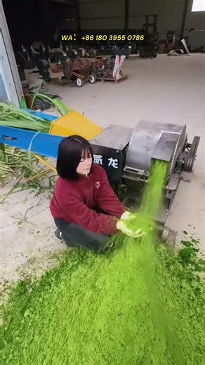 hay pulping machine, fresh hay silage pulping equipment, actual test results of sugarcane pulping