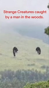 42K views · 260 reactions | #strange #creatures #monster #cryptozoology #unknownspecies #ngntd #reels #trending | Troodraco | Facebook