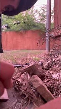 Ozark Trail - Magnesium Bar with striker how to start fire