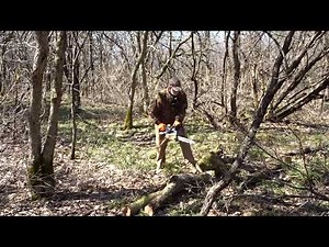 Harbor Freight Lynxx 40V Battery Powered Chainsaw