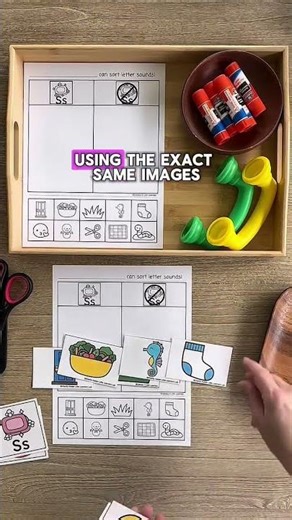 Beginning Sound Sort Phonemic Awareness Activity