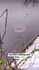 6.3M views · 10K reactions | Let's avoid that direction... | People's Weather | Facebook