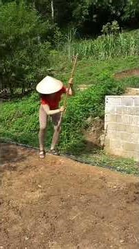 Building a Mini Fish Farm From Scratch 🐟🔥 | Pond Water, Fingerlings & Gardening