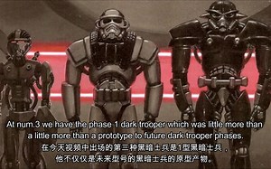 【蒜头翻译】All Dark Trooper Types, Variants & Origin