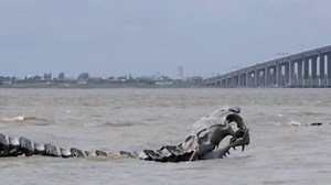 Mythological Creatures Of South Africa...Part 1 - The Inkanyamba!