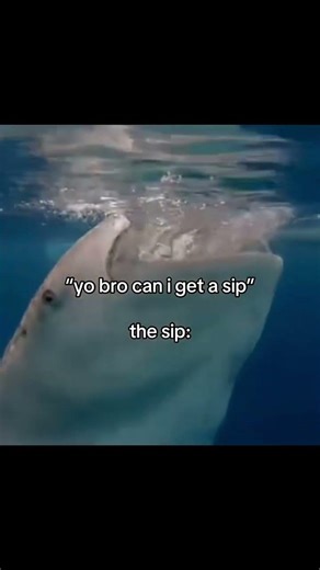 Yo bro can I get a sip #minecraft #helpmemakethismakesense #sip