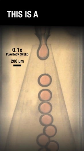 The #2 most-engaging science moment this year was these mesmerizing droplets inside of droplets inside of droplets inside of droplets... Scientists developed microfluidic devices with concentric injection channels that deliver different fluids simultaneously. The concentric channels allow the devices to precisely control the thickness of each layer while continuously producing droplets. This provides an efficient and clog-free method for emulsifying liquids that do not mix easily. Read more: htt