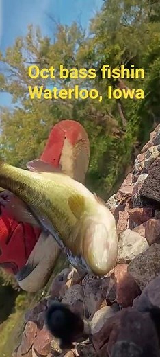 watch full video to learn how to use the sharpie