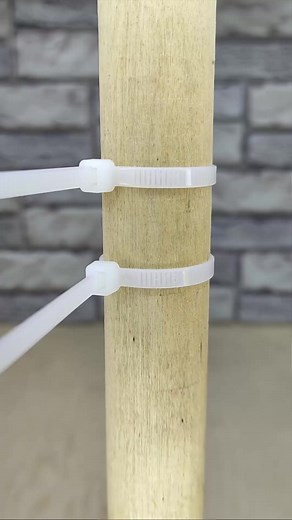 397K views · 573 reactions | How can you easily remove the plastic clamp？#shorts #tip #tips #lifehack #lifehack #stye #reels #shorts #wood #woodworking #handmade #design #art #woodwork #carpenter #woodart #interiordesign #homedecor #furniture #home #diy #decor #carpentry #ToolTips3 #tool_tips #tooltips #tools #creative #fy #tricks | Tool_Tips | Facebook