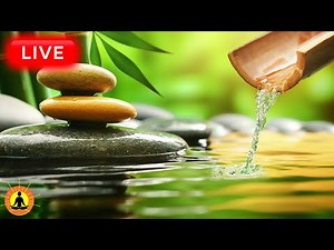 🔴 Relaxing Zen Music 24/7, Healing Music, Meditation Music, Spa Music, Sleep, Zen, Nature Sounds