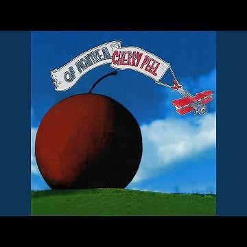 Tim I Wish You Were Born a Girl