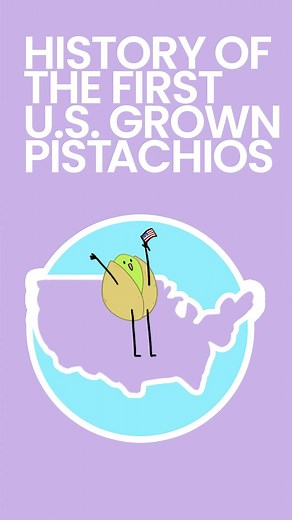 History of the First U.S. Grown Pistachios - Pistachios started in #Sonoma and then #Chico California. Chico was also a big part of kiwi farming. It took forever to find the right pistachio. Learn more! #foodhistory #foodfacts #historyfacts #pistachio #historyofhttps://jerryjamesstone.com/how-to/history-of-pistachios-what-am-i-even-eating/ | Jerry James Stone | Facebook