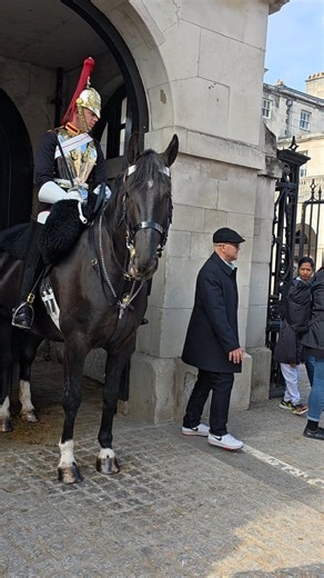 They Don’t Shout for Fun — King’s Guards Only React When Common Sense Fails 🚨🐎 #KingsGuard #HorseGuards #London #RespectTheGuards #UseCommonSense #RoyalGuards #fblifestyle | The King's Horse Guards London