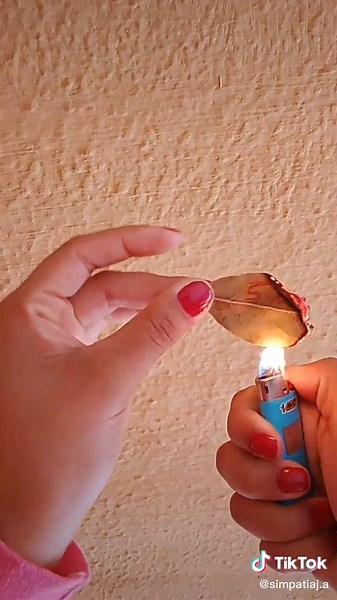 Os vídeos de Programa Programa (@simpatia_antiga) com 1, 2 Step (feat. Missy Elliott) (Main) - Ciara