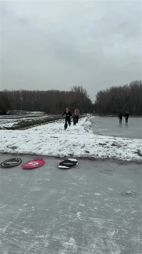 Explore the Latest Trends in AI Robotics