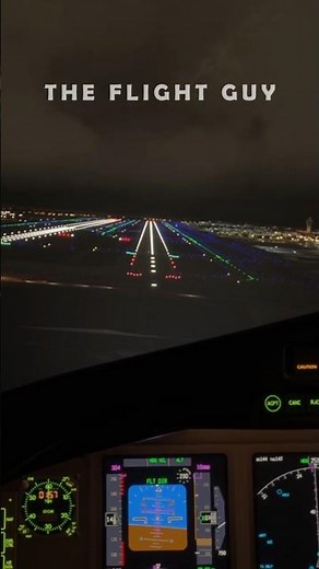 🌙✈️ | Los Angeles | Rate This Night Landing! | Boeing 777 #5 | ✈️🌙