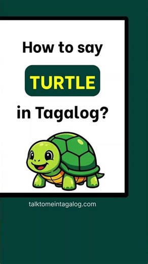 How to Say TURTLE in Tagalog? | Talk to Me in Tagalog