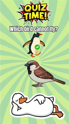 2 Bird Riddles Only Smart People Solve! #shorts