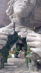 Daniel Popper - artist on Reels