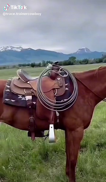 Monday fun day on the ranch!🤠🐎🥰