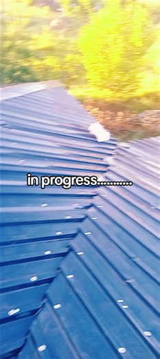 #myking #creatorsearchinsights #capentary