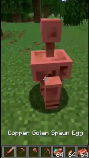 מסתכל על העדכון של מיינקראפט!