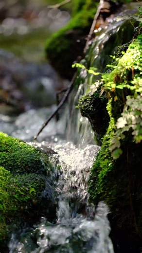 Relaxing Music with Nature Sounds for Meditation, Spa, Sleep and Relaxation | 432 Hz