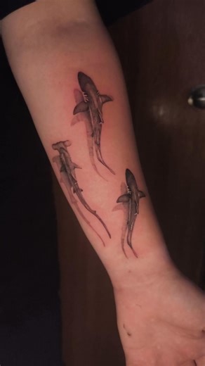 Sharks by TJ. Message Rabbitspew Tattoo or Visit our website to book in your next tattoo! | Lady Ink Tattoos