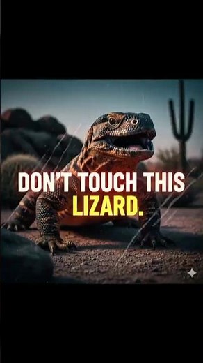This Slow Lizard Has a Venomous Bite 😳#gilamonster #venomousanimals #wildlifefacts