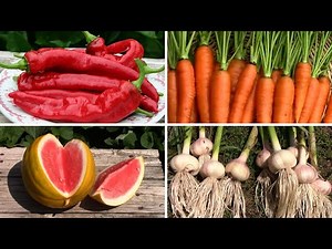 After 30 Years Of Gardening, These Are My Favorite Vegetables To Grow