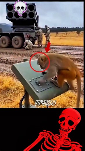 The ending was unexpected 💥😂#shortstrollface #monkeymemes #rocket #army #sigma