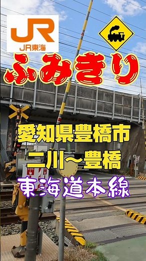 新幹線の真下を走る踏切！🚅 JR東海道本線・貨物列車も通過【愛知県豊橋市】#踏切 #JR東海道本線 #東海道新幹線 #貨物列車 #愛知県豊橋市