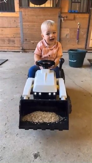 Santa's littlest helper makin' sure Rudolph is ready for the holiday rounds. 🎄 📽️: DMDK Reindeer #Bobcat #BobcatInTheWild #OneToughAnimal | Bobcat Company