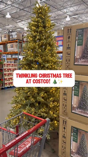 Twinkling Christmas tree at Costco with micro LED lights and 11 different light modes. 9’ tall and easy to set up! Get ready for the holidays! #costco #holidayseason #christmas #christmastree #homdecor | costcoguide