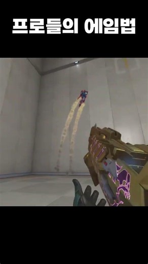 What do pros actually look at when they aim?