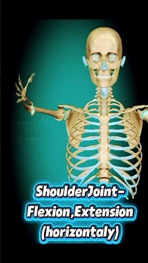 Flexion, Extension, Rotation of Shoulder Joint/Moments of shoulder Joint #medicalknowledge
