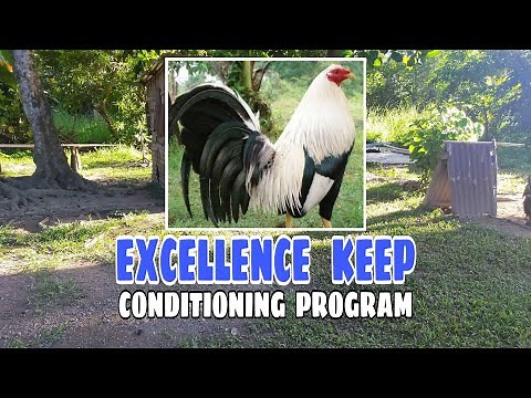 EXCELLENCE KEEP CONDITIONING PROGRAM || BALERIANS GAMEYARD