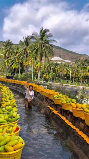 Satisfying Fruit ASMR Experience