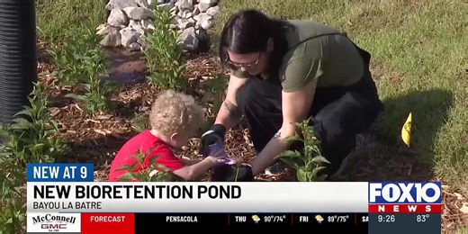 The Nature Conservancy teams up with several groups for a new bioretention pond in Bayou La Batre