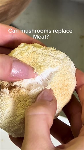 Let us know your thoughts below ⬇️ #themushroombox #mushroomgrowing #mushroomkit