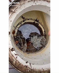 6.2M views · 39K reactions | These Hot Tub needed that extreme cleaning transformation 朗 | TikTok | Facebook