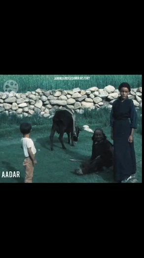 39K views · 852 reactions | Old view of leh market Ladakh in 1980 #ladakh Stanzin Gyaltson Jigmet Skara Puneet Kaur Safina Qusar Phunchok Angchuk Pama Zopa Angmo Chhok-kun Jayang Drakpa | Jammu and Kashmir history | Facebook