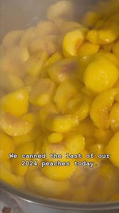 @jandafarmsont What to do whenever you have leftover canning syrupBecause invariably, you finish canning fruit & wind up with leftover syrup. But that leftover syrup has been infused with a lot of fruity goodness! Today we canned the very last of our 2024 @zekveldgardenmarket peaches. We used an extra light honeyed syrup using @sycamorefarmmarket honey. I estimated that I had around 2.5-3 quarts of syrup left over when the last jar of peaches was filled. That leftover syrup was a pretty colour &