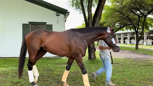 Tiz Dashing Heads To Keeneland