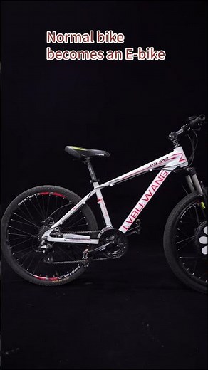 EBIKE WHEEL | The Easiest & Most Reliable E-Bike Conversion ✅